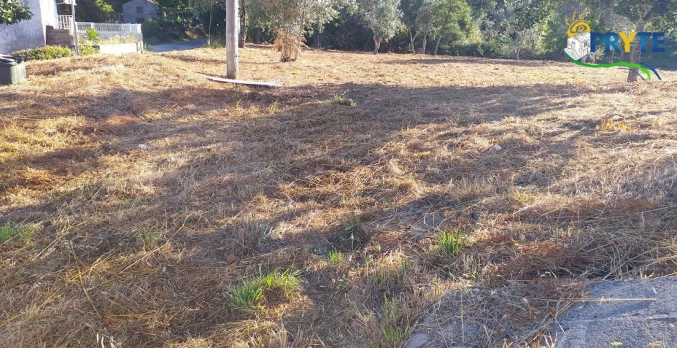 Terreno para Venda em Cabeçudo Foto 52