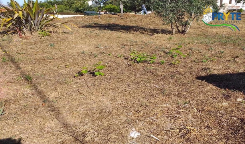 Terreno para Venda em Cabeçudo Foto 59