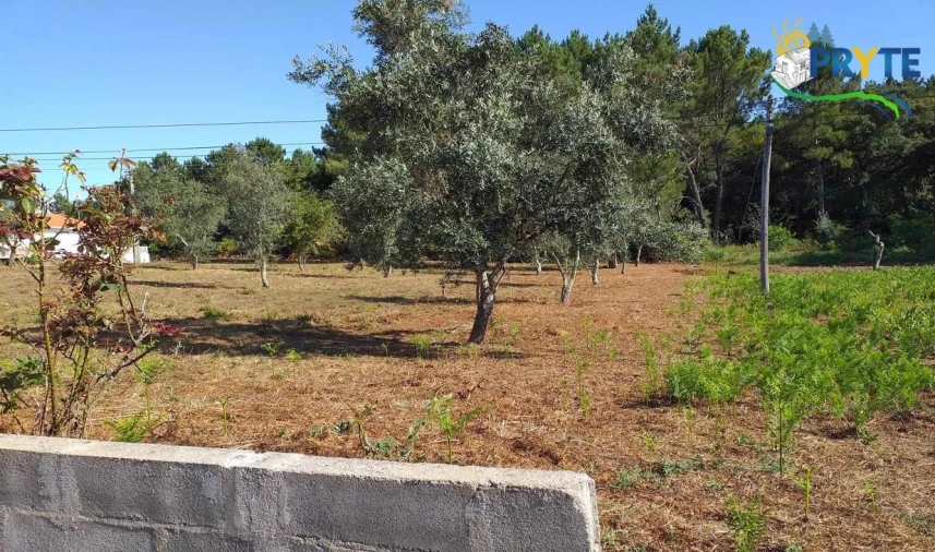 Terreno para Venda em Cabeçudo Foto 63