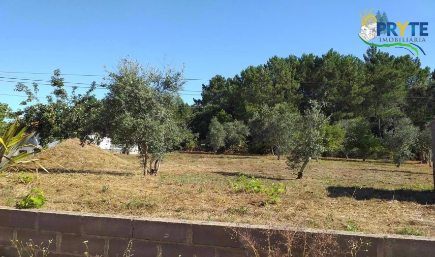 Terreno para Venda em Cabeçudo Foto 65