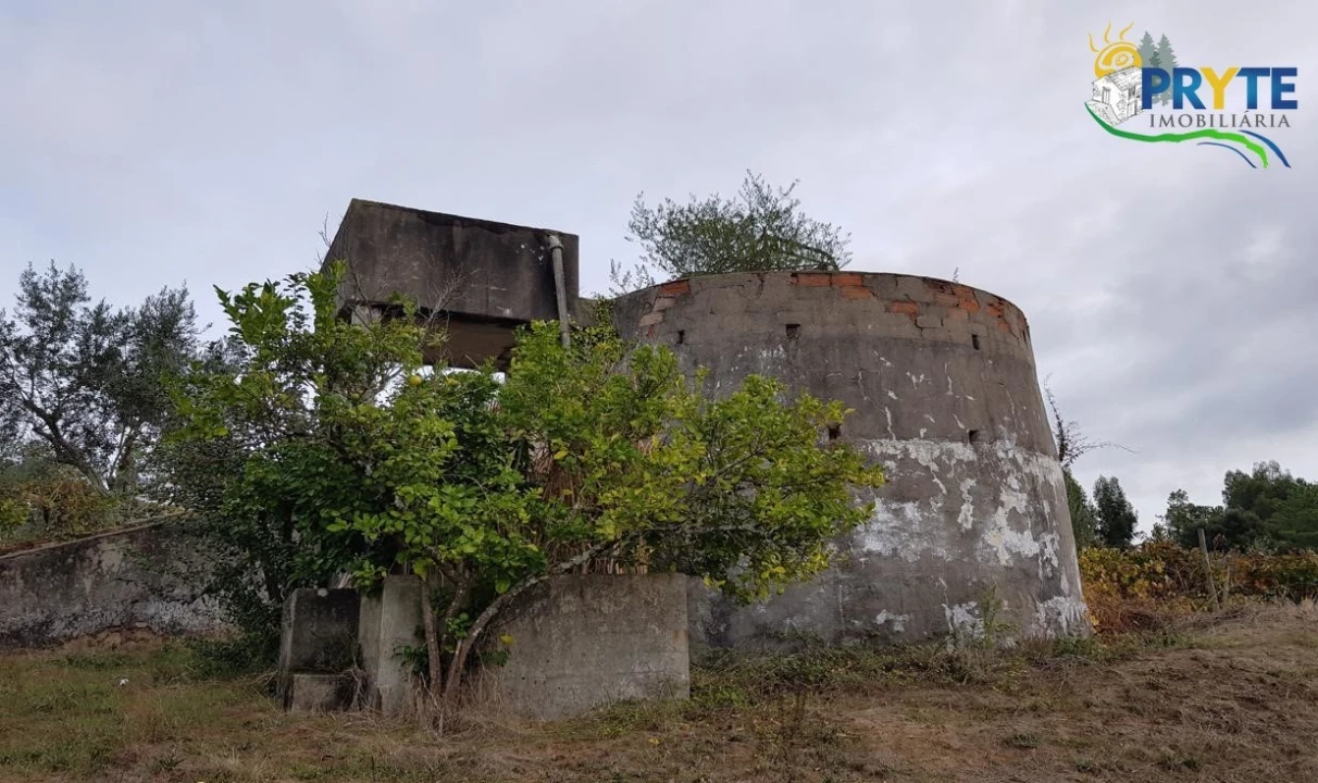 Terreno para Venda em Cernache do Bonjardim, Nesperal e Palhais Foto 8