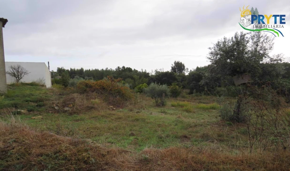 Terreno para Venda em Cernache do Bonjardim, Nesperal e Palhais Foto 13