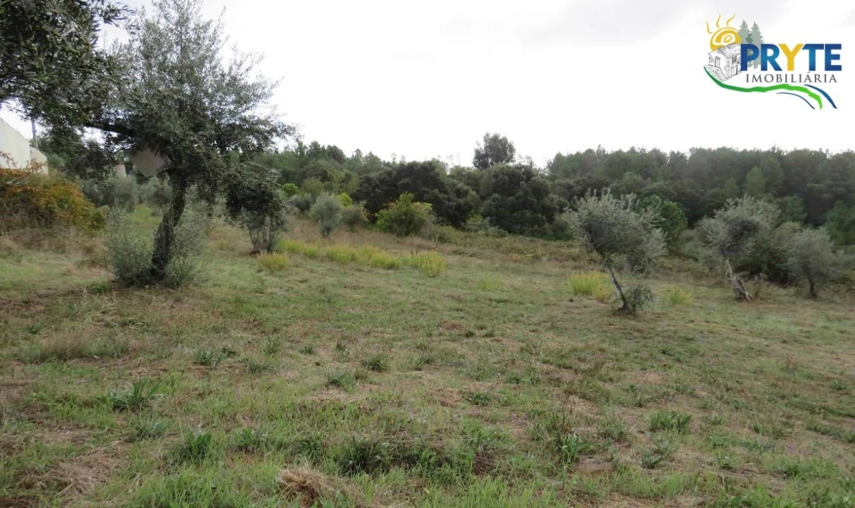 Terreno para Venda em Cernache do Bonjardim, Nesperal e Palhais Foto 14