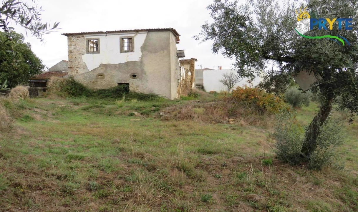 Terreno para Venda em Cernache do Bonjardim, Nesperal e Palhais Foto 18
