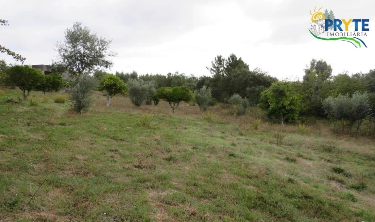 Terreno para Venda em Cernache do Bonjardim, Nesperal e Palhais Foto 21