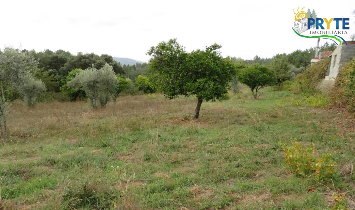 Terreno para Venda em Cernache do Bonjardim, Nesperal e Palhais Foto 29