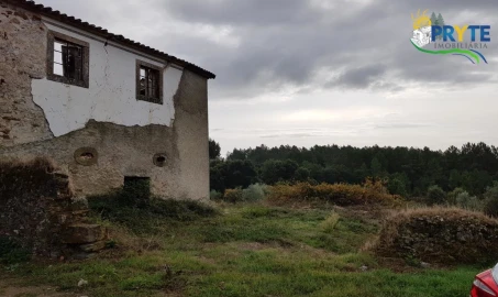 Terreno para Venda em Cernache do Bonjardim, Nesperal e Palhais