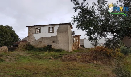Terreno para Venda em Cernache do Bonjardim, Nesperal e Palhais