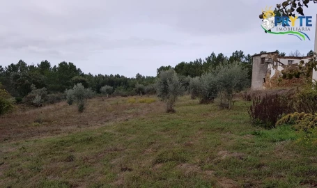 Terreno para Venda em Cernache do Bonjardim, Nesperal e Palhais
