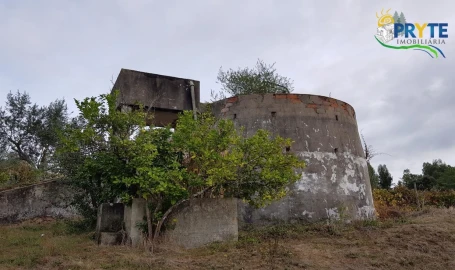 Terreno para Venda em Cernache do Bonjardim, Nesperal e Palhais