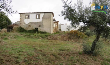 Terreno para Venda em Cernache do Bonjardim, Nesperal e Palhais