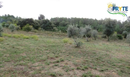 Terreno para Venda em Cernache do Bonjardim, Nesperal e Palhais