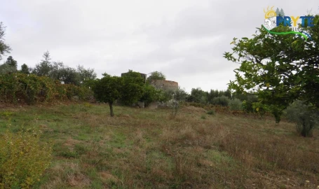 Terreno para Venda em Cernache do Bonjardim, Nesperal e Palhais