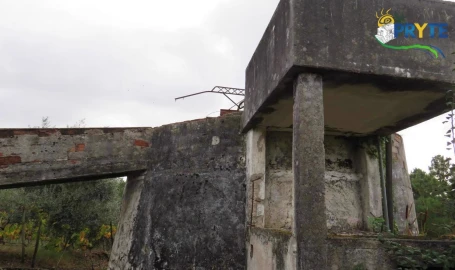 Terreno para Venda em Cernache do Bonjardim, Nesperal e Palhais