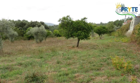 Terreno para Venda em Cernache do Bonjardim, Nesperal e Palhais