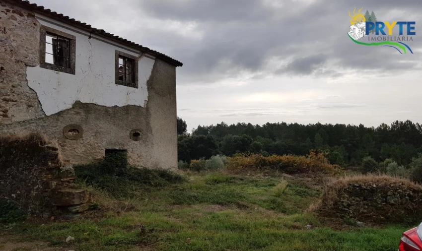 Terreno para Venda em Cernache do Bonjardim, Nesperal e Palhais Foto 2