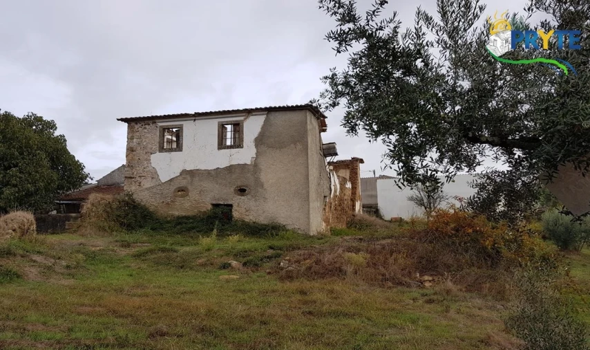 Terreno para Venda em Cernache do Bonjardim, Nesperal e Palhais Foto 3