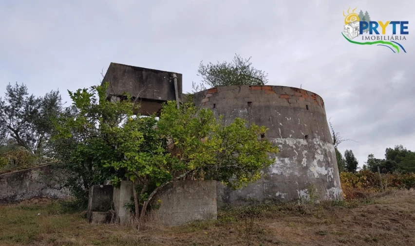 Terreno para Venda em Cernache do Bonjardim, Nesperal e Palhais Foto 8