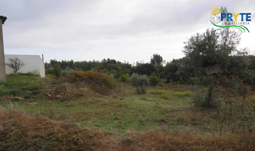 Terreno para Venda em Cernache do Bonjardim, Nesperal e Palhais Foto 13