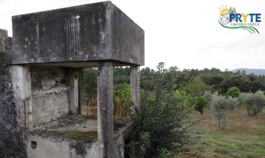 Terreno para Venda em Cernache do Bonjardim, Nesperal e Palhais Foto 28