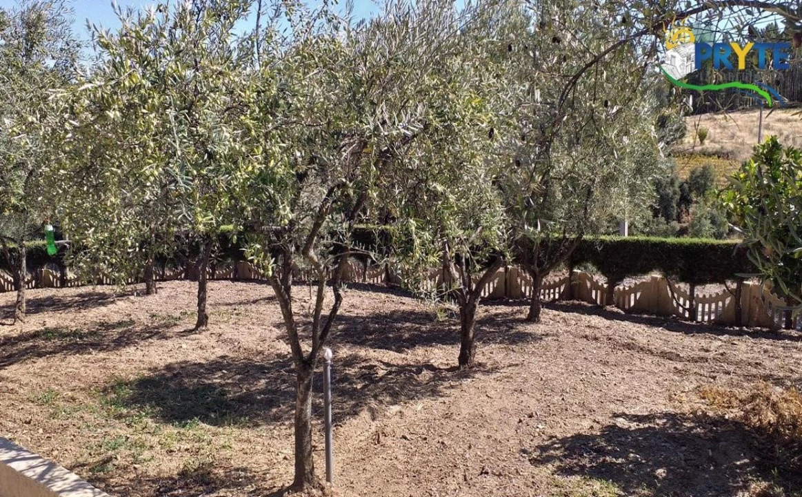 Moradia T6 para Venda em Proença-A-Nova e Peral Foto 4