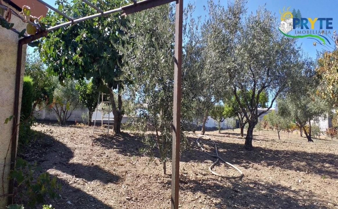 Moradia T6 para Venda em Proença-A-Nova e Peral Foto 8