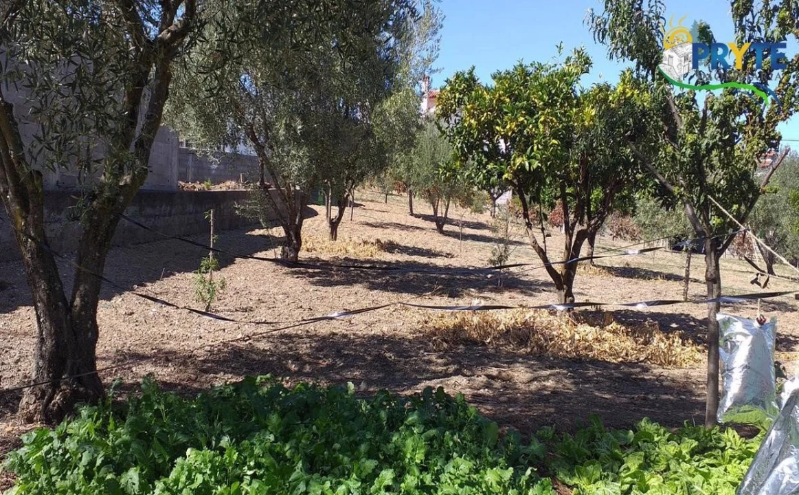 Moradia T6 para Venda em Proença-A-Nova e Peral Foto 13