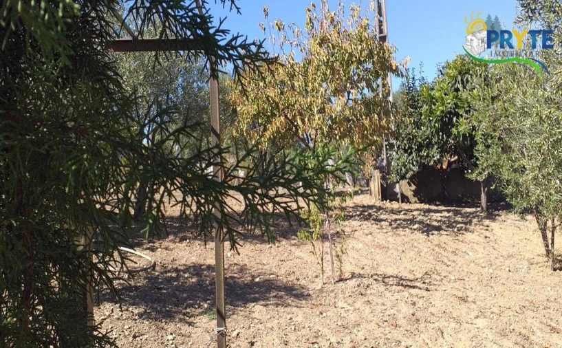 Moradia T6 para Venda em Proença-A-Nova e Peral Foto 7