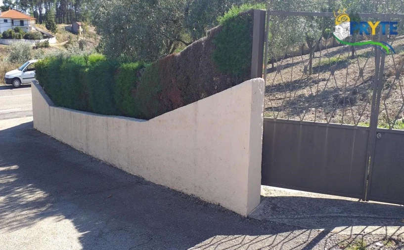 Moradia T6 para Venda em Proença-A-Nova e Peral Foto 10