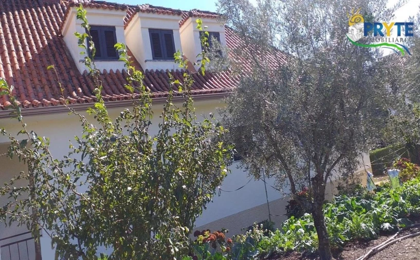 Moradia T6 para Venda em Proença-A-Nova e Peral Foto 16