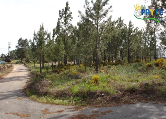 Terreno para Venda em Envendos Foto 1