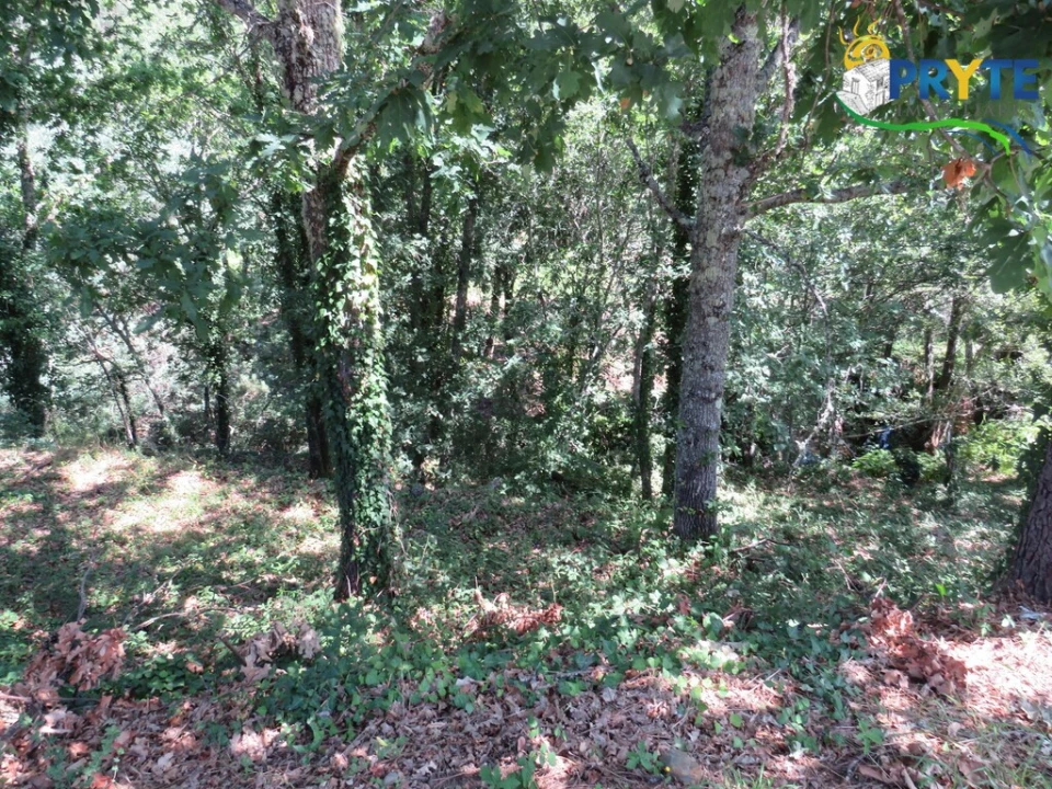 Terreno para Venda em Pedrogão Grande Foto 1