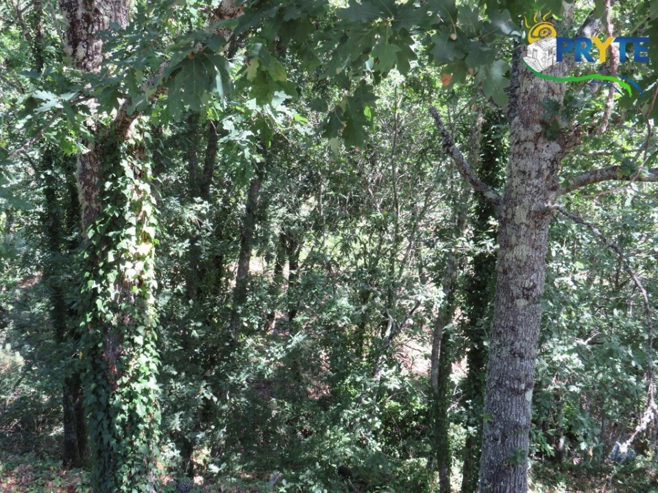 Terreno para Venda em Pedrogão Grande Foto 3