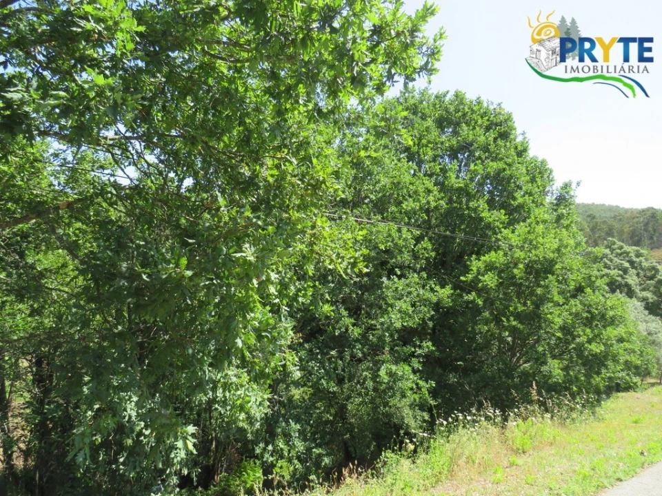 Terreno para Venda em Pedrogão Grande Foto 5
