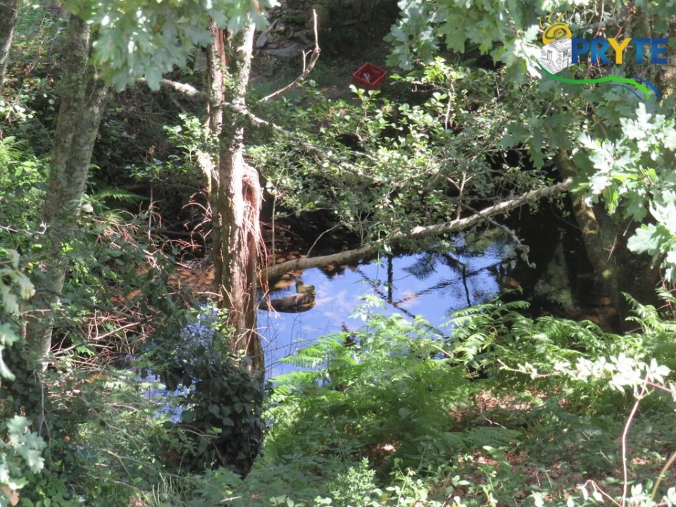Terreno para Venda em Pedrogão Grande Foto 6