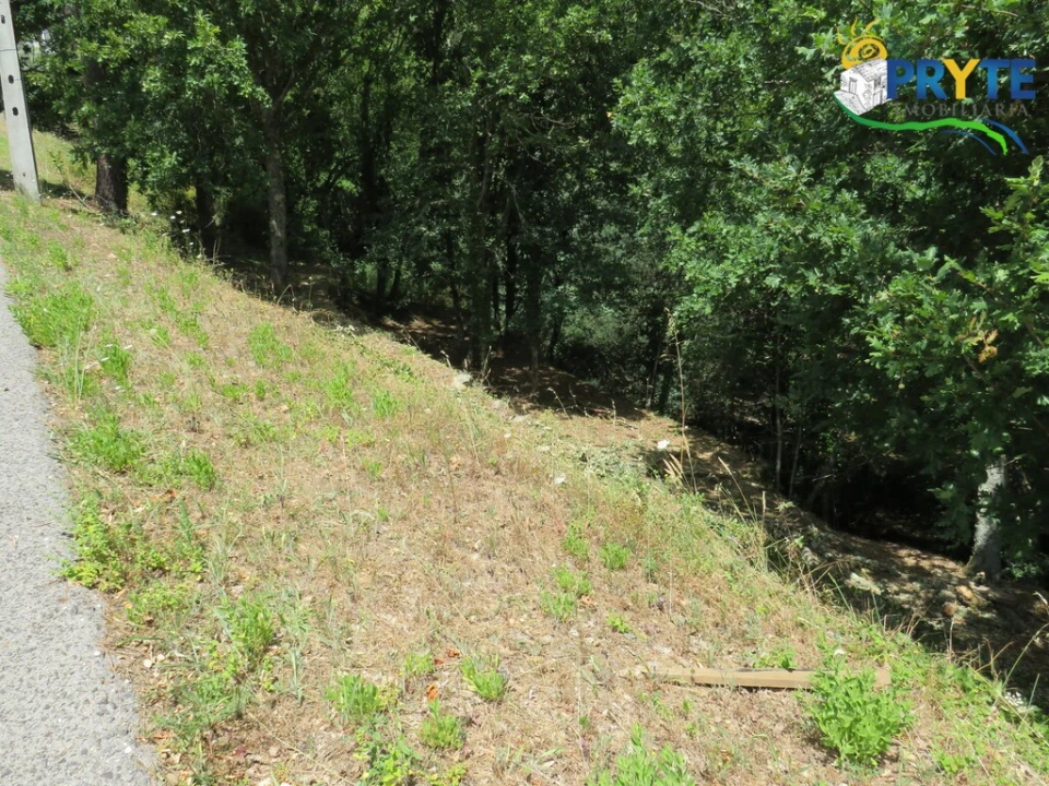 Terreno para Venda em Pedrogão Grande Foto 13