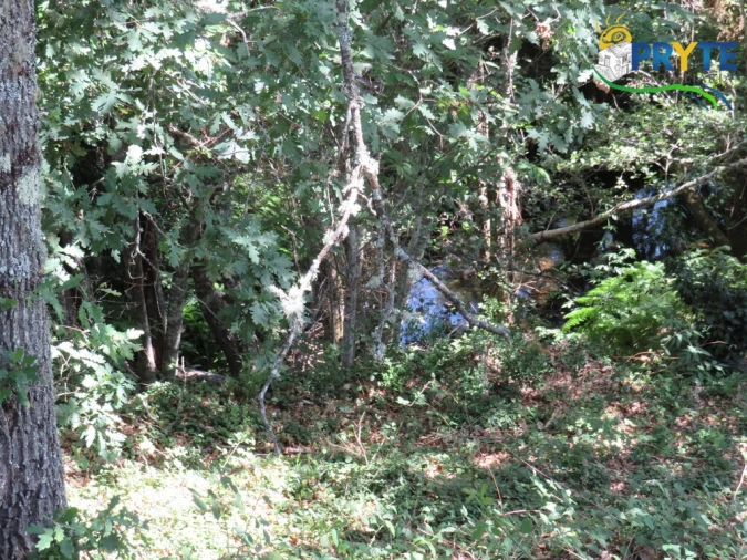 Terreno para Venda em Pedrogão Grande Foto 2