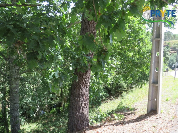 Terreno para Venda em Pedrogão Grande Foto 4
