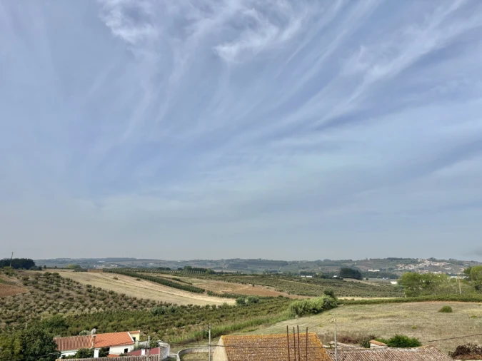 Moradia T2 para Venda em Carvalhal Foto 12