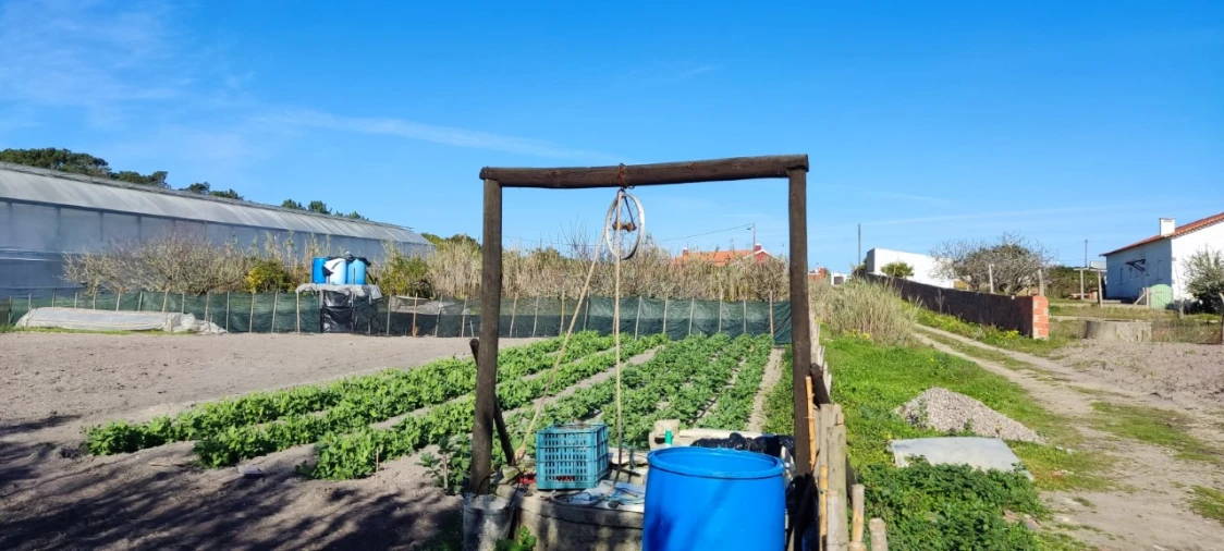 Terreno para Venda em Silveira