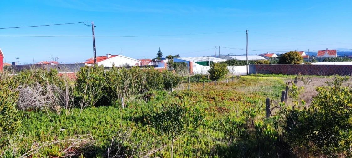Terreno para Venda em Silveira Foto 7