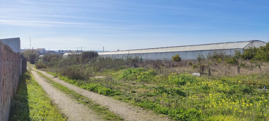 Terreno para Venda em Silveira Foto 10