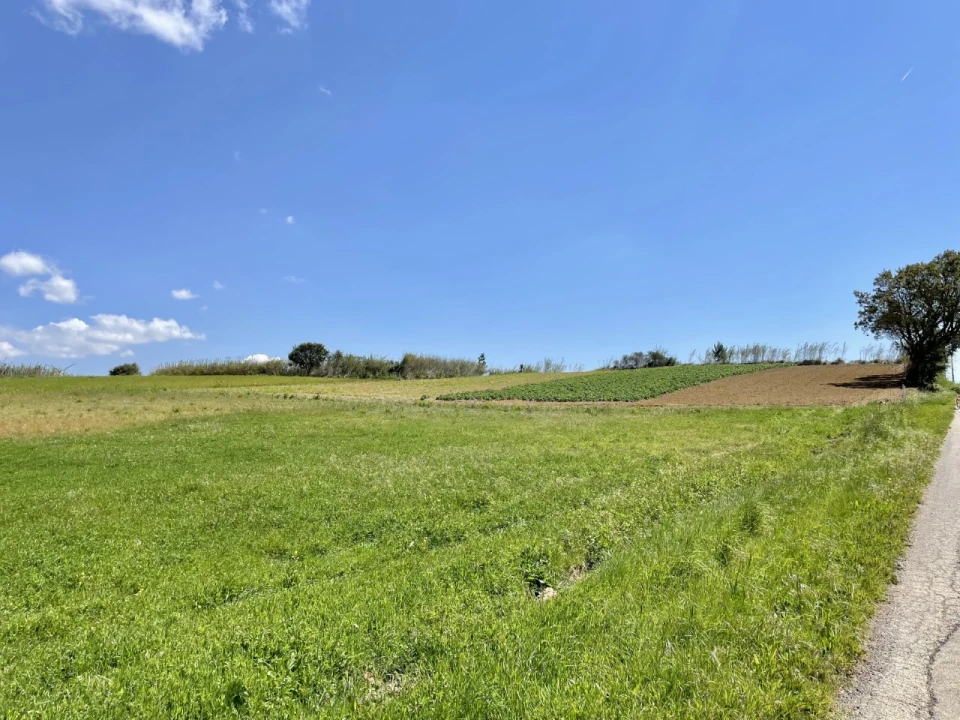 Quinta T1 para Venda em Lourinhã e Atalaia Foto 3