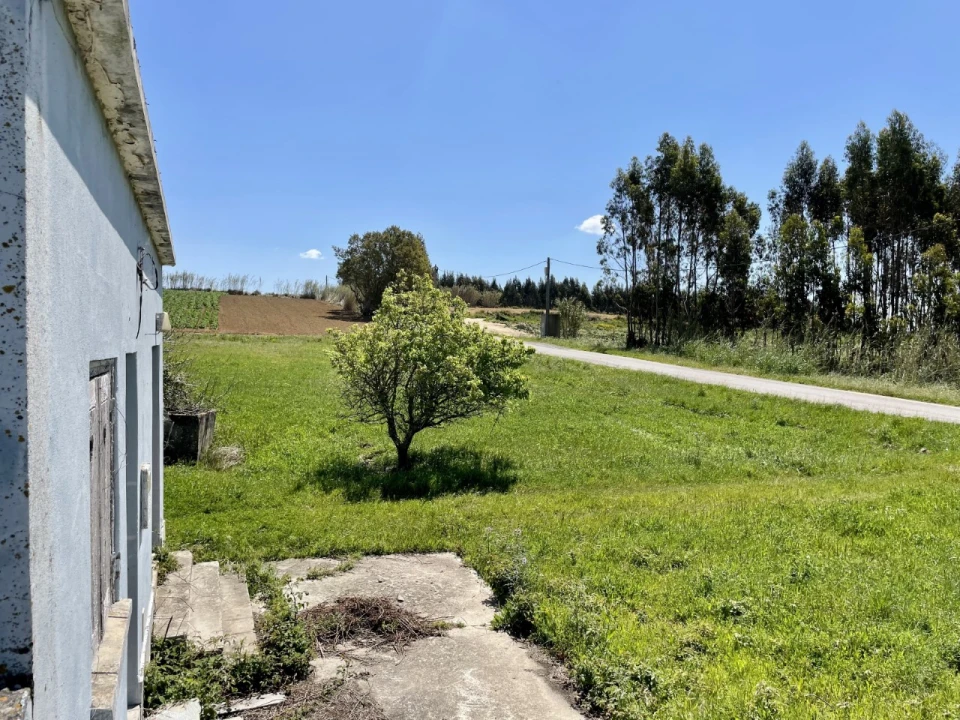 Quinta T1 para Venda em Lourinhã e Atalaia Foto 14