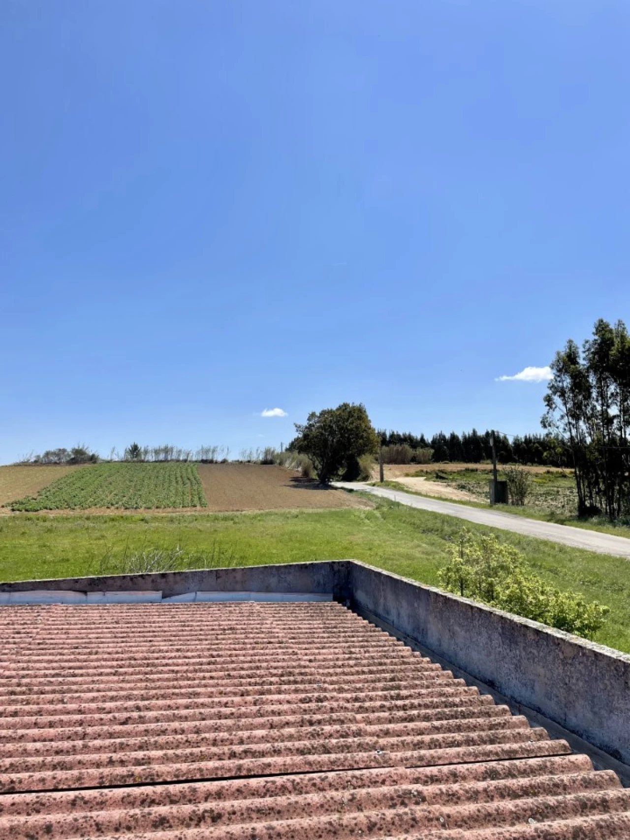 Quinta T1 para Venda em Lourinhã e Atalaia Foto 17