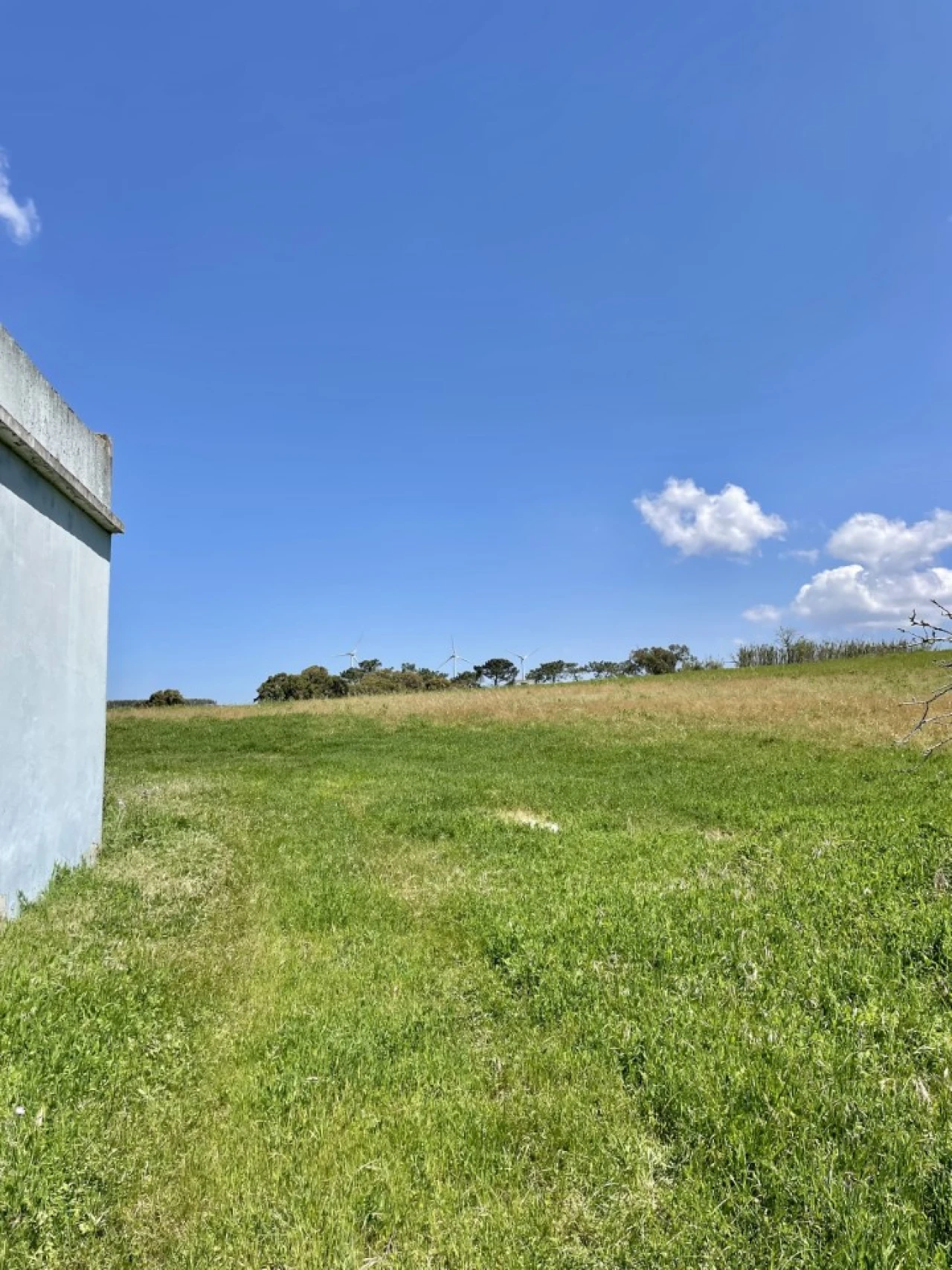 Quinta T1 para Venda em Lourinhã e Atalaia Foto 21
