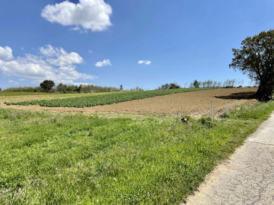 Quinta T1 para Venda em Lourinhã e Atalaia Foto 33