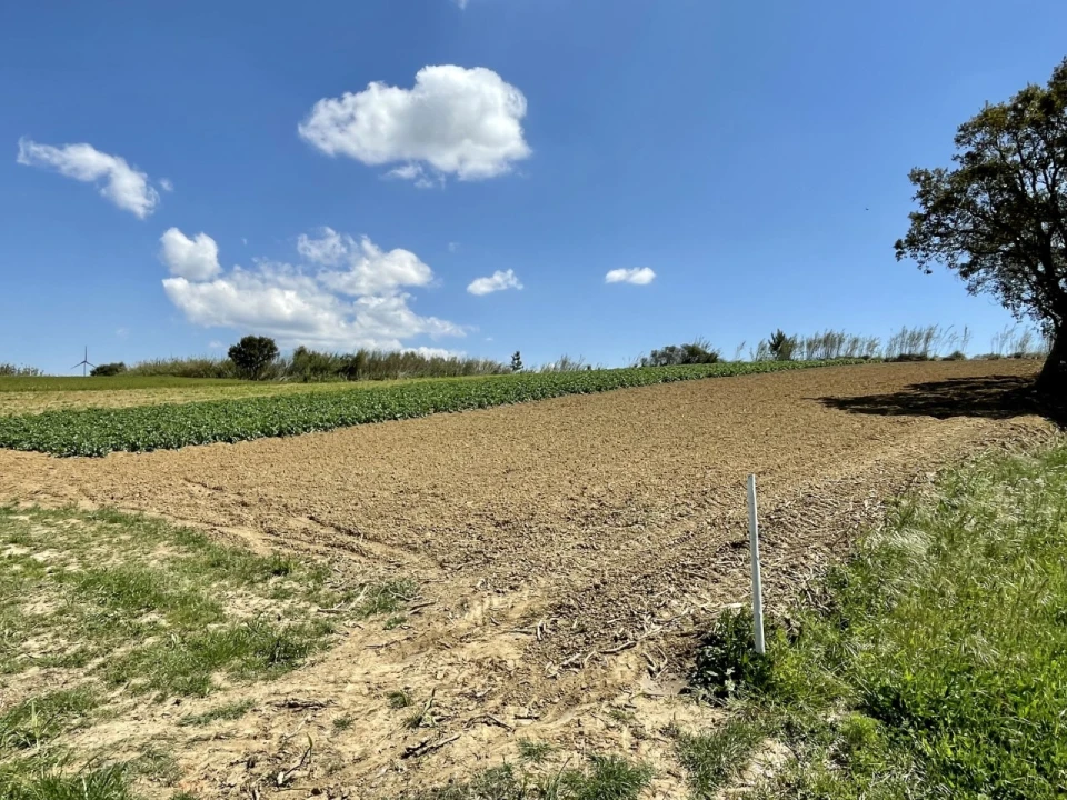 Quinta T1 para Venda em Lourinhã e Atalaia Foto 38