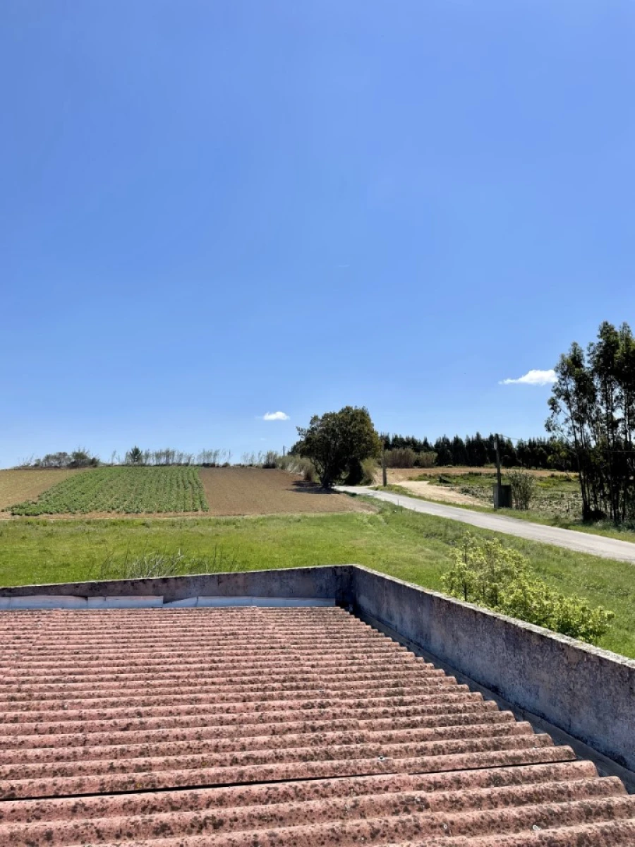 Quinta T1 para Venda em Lourinhã e Atalaia Foto 17