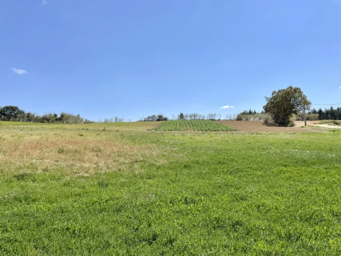 Quinta T1 para Venda em Lourinhã e Atalaia Foto 19